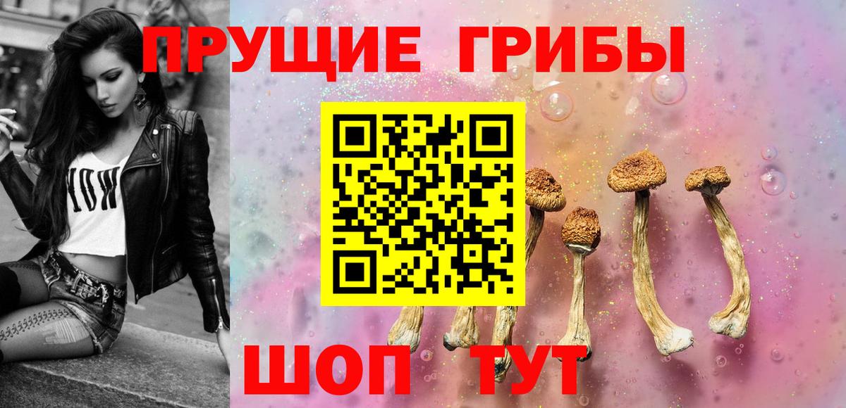 Берёзовский  Галлюциногенные грибы Psilocybe  Вход с VPN 