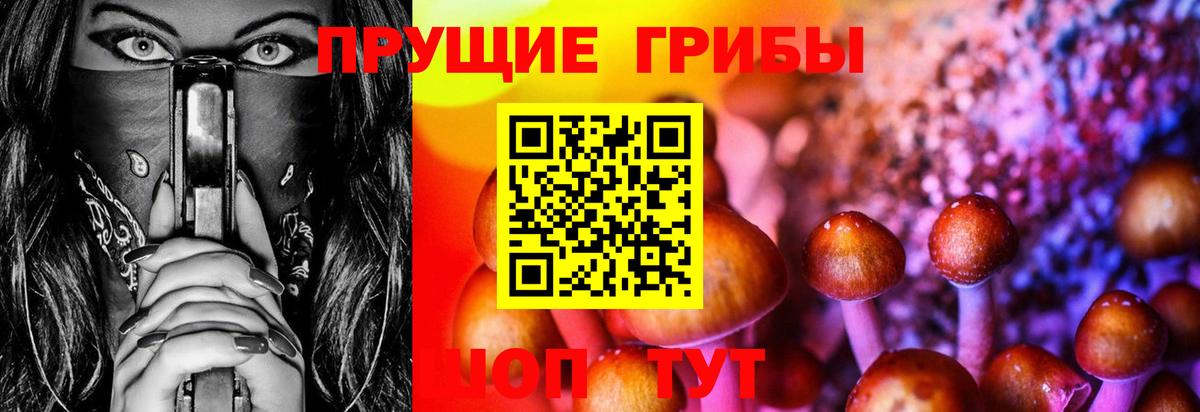 Псилоцибиновые грибы ЛСД Берёзовский
